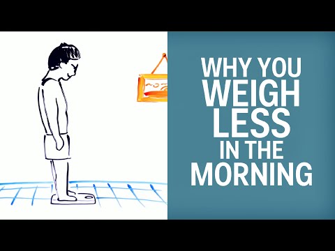 Why You Weigh Less In The Morning Than At Night