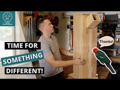 Building a Parrot Nesting Box // Something a Bit Unusual